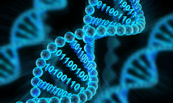 &laquo;Биокомпьютер&raquo; на базе ДНК научили решать судоку и хранить данные миллионы лет