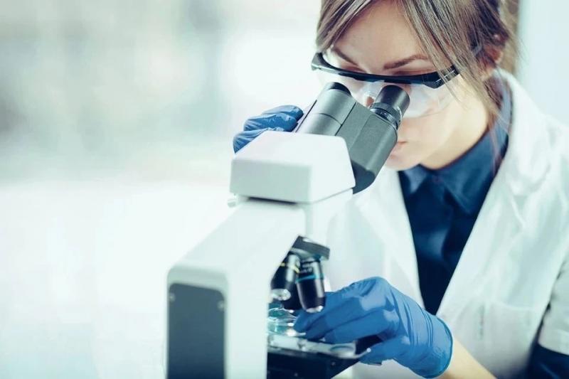 162 тысячи новых вирусов обнаружили ученые из Китая и Австралии