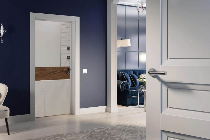 Двери с отделкой ПЭТ: основные преимущества