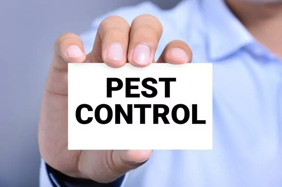 Пест-контроль: профилактические и истребительные меры