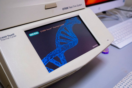 В НГАУ разработают препараты, защищающие растения от вредителей