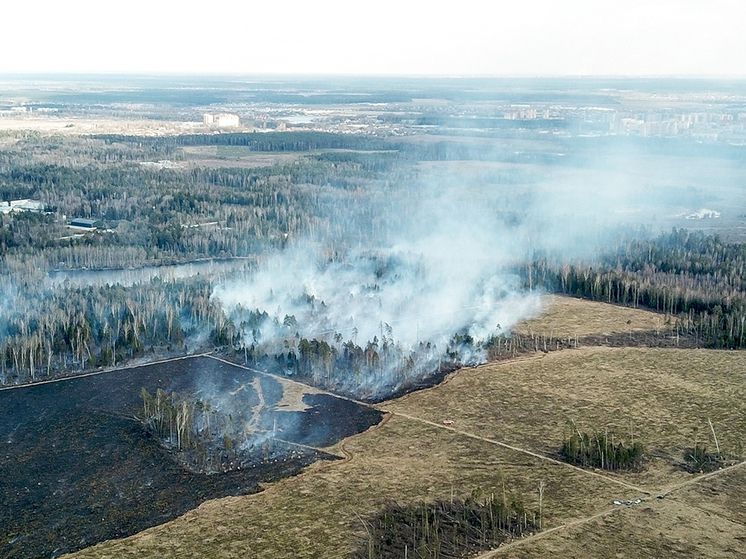 Вдыхание дыма назвали причиной дополнительных тысяч смертей каждый год