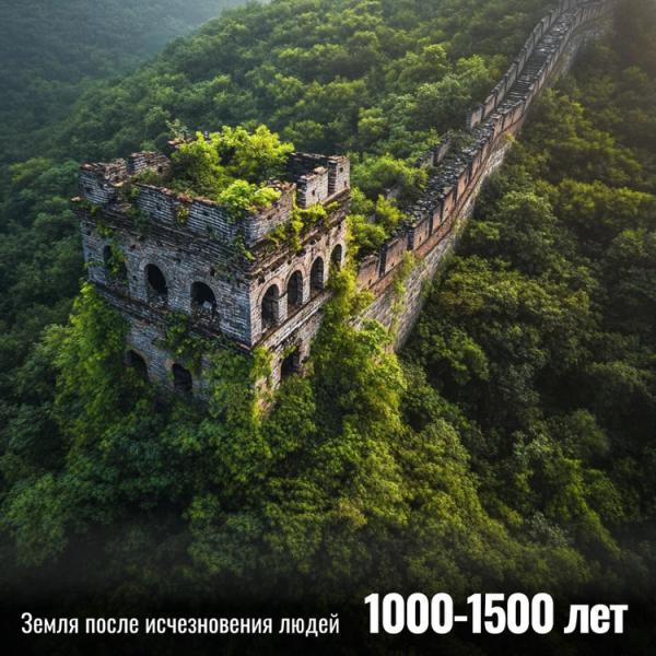 ИИ нарисовал, как будет выглядеть Земля, если человечество внезапно исчезнет