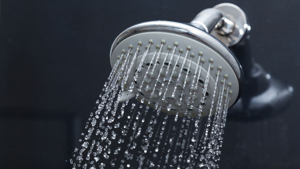 Микробы на зубных щетках и душевых лейках полезны для здоровья, выяснили ученые