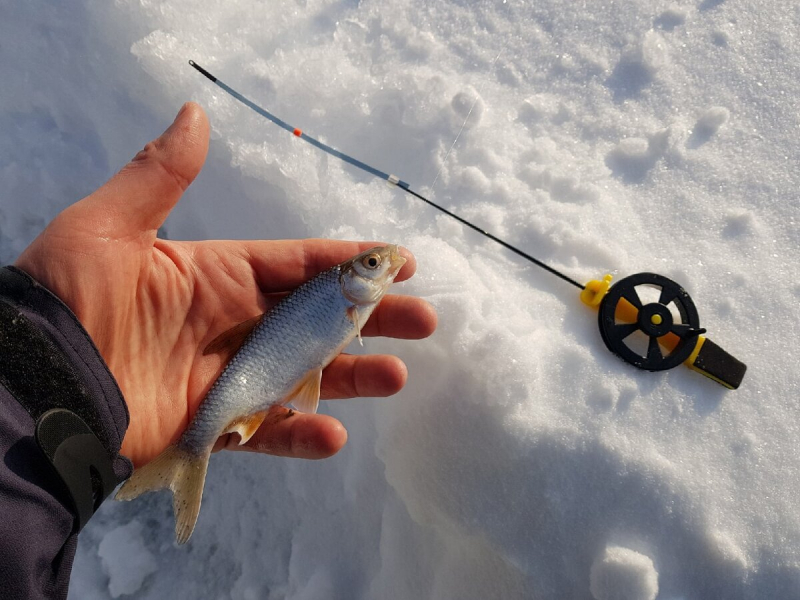 Современные подводные камеры &ndash; умные устройства в помощь рыбаку