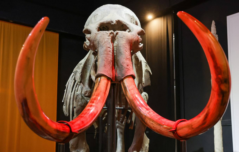 Теория катастрофизма: как (не) вымерли огромные животные