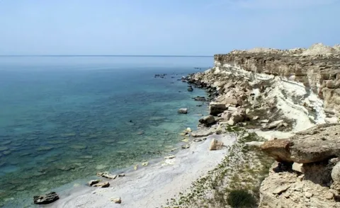 В РАН назвали самую большую угрозу для биоты Каспия