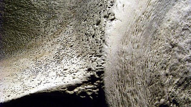 В СибГМУ и &laquo;Сколтехе&raquo; разработан новый материал для регенерации костей