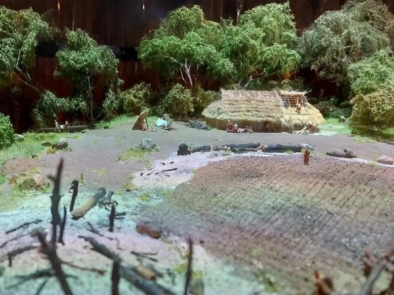 Что ели древние земледельцы на севере Европы в эпоху неолита