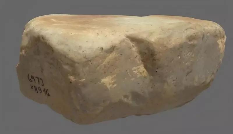 Что ели древние земледельцы на севере Европы в эпоху неолита