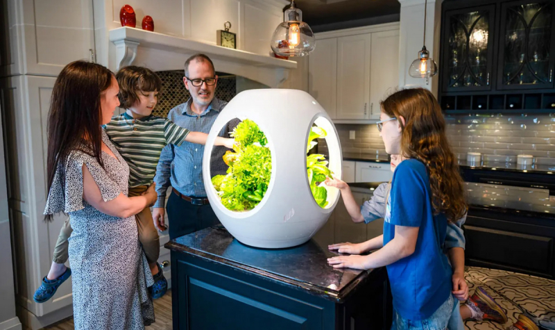 Мини-сад Plantaform позволит выращивать овощи дома с помощью &laquo;туманной гидропоники&raquo;