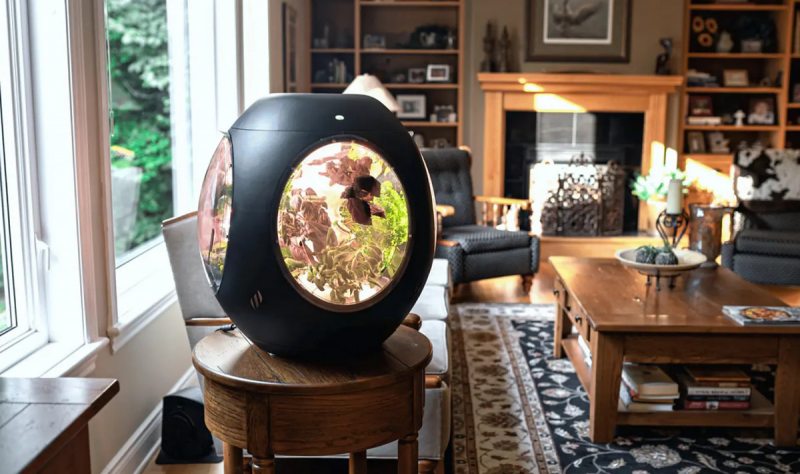 Мини-сад Plantaform позволит выращивать овощи дома с помощью &laquo;туманной гидропоники&raquo;