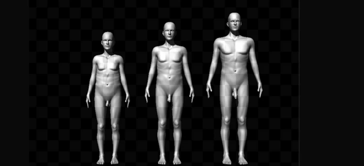 Почему у Homo sapiens вдруг удлинилось мужское достоинство: выявлен важный нюанс