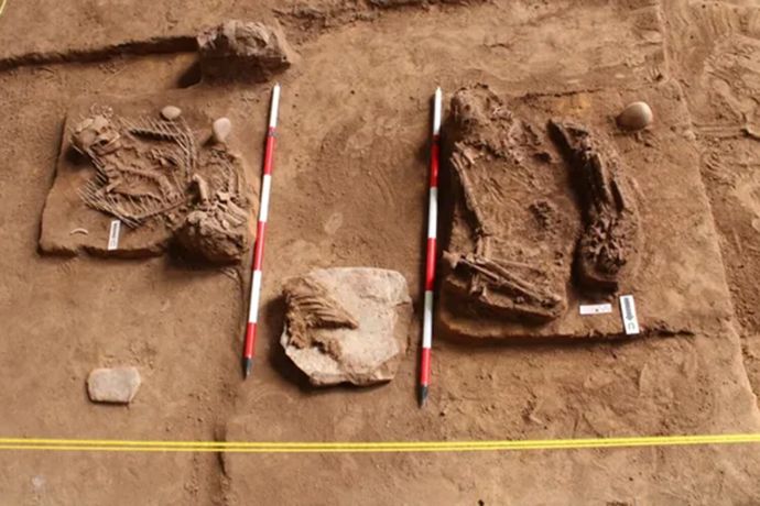 Российские ученые научились определять пол древних людей по костным останкам