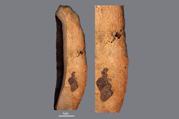 Люди палеолита умели абстрактно мыслить и понимать символы, выяснили ученые