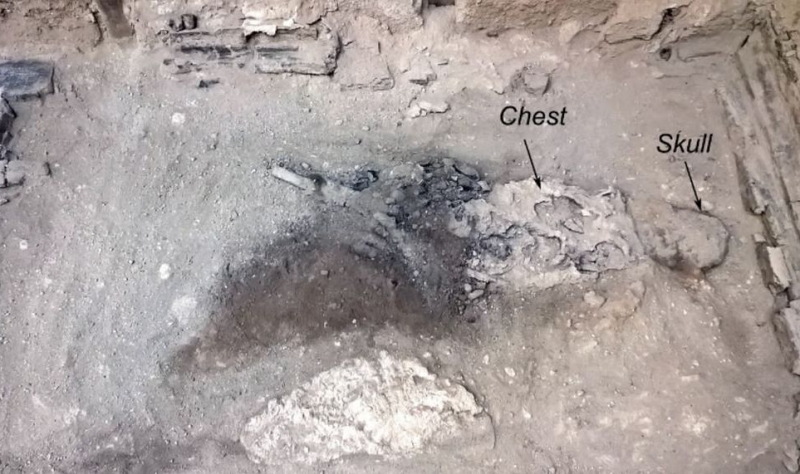 Извержение Везувия превратило мозг человека в стекло