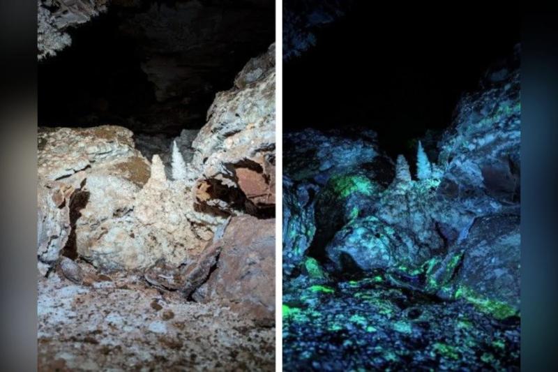 О чем рассказали ученым удивительные флуоресцентные пещеры