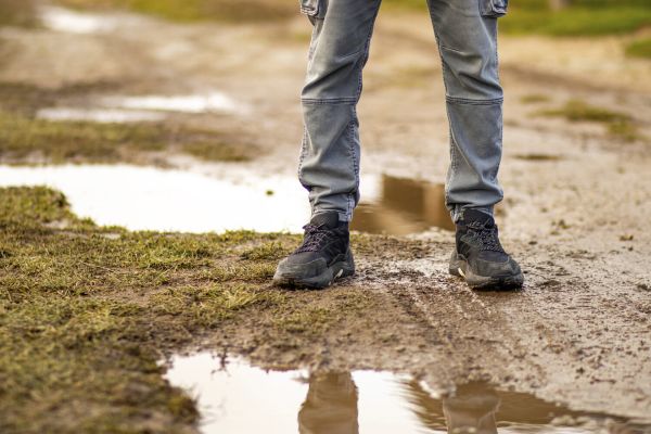 Антропологи раскрыли связь между прямохождением и развитием человеческого интеллекта