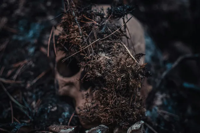 Древние майя брали с собой останки предков для защиты нового дома