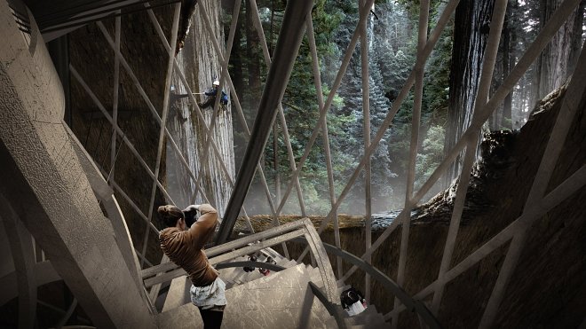 Концепт небоскреба внутри гигантской секвойи