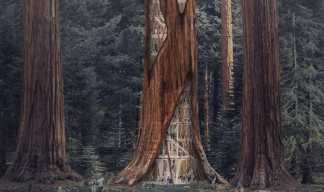 Концепт небоскреба внутри гигантской секвойи