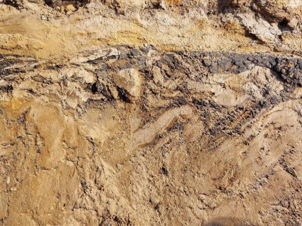 Литовские ученые обнаружили следы реки, которая текла миллионы лет назад