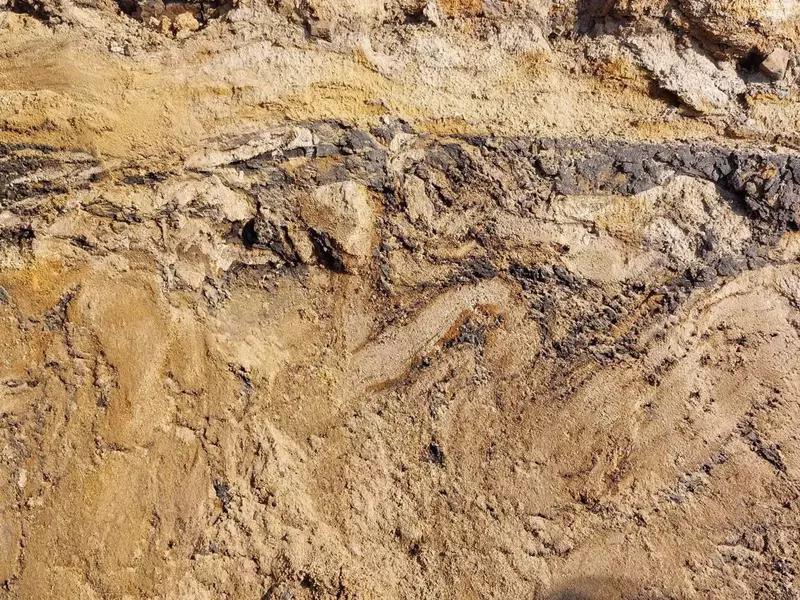 Литовские ученые обнаружили следы реки, которая текла миллионы лет назад