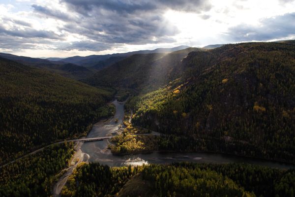 Ученые рассказали, что происходит с землями после ухода людей