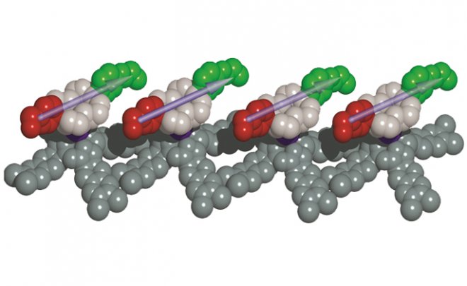 Ученые создали синхронные молекулярные двигатели