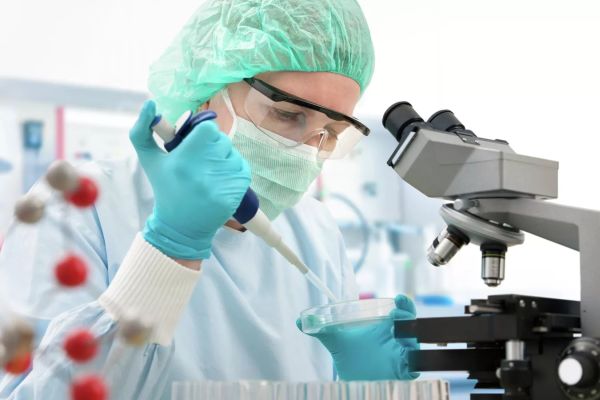 Ученые впервые вырастили человеческие зубы в лаборатории