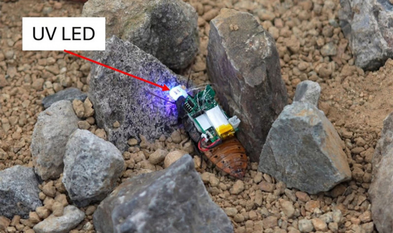 Японские ученые создали управляемых светом кибертараканов