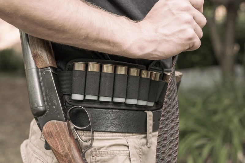 На лося с ружьем: выбираем лучшее оружие для успешной охоты