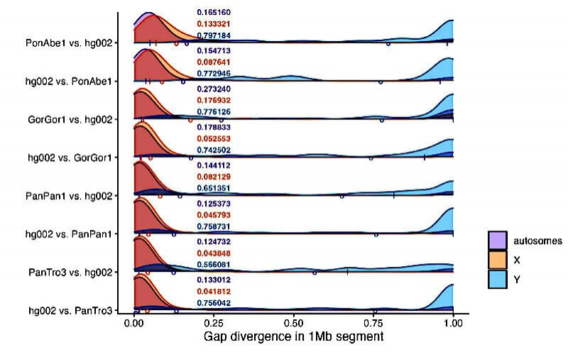Новый &laquo;полный&raquo; геном шимпанзе показывает разницу в 14,9% с человеческим геномом