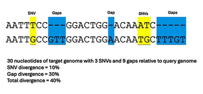 Новый &laquo;полный&raquo; геном шимпанзе показывает разницу в 14,9% с человеческим геномом