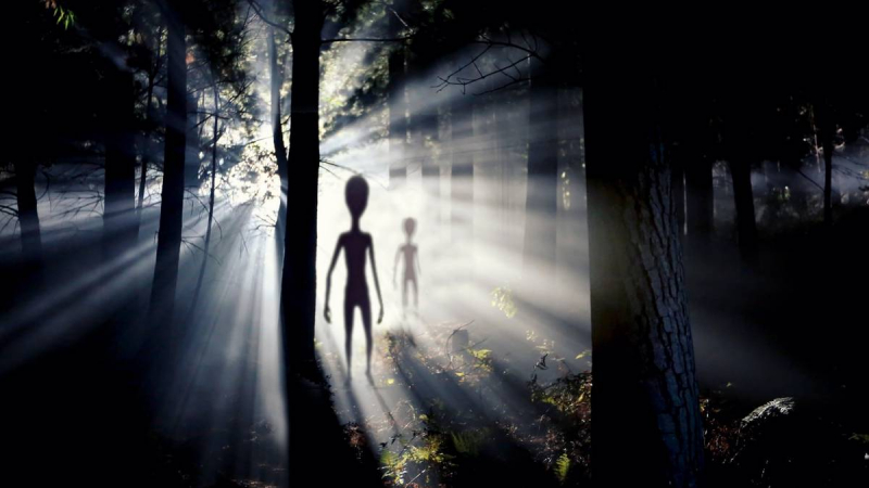 Пришелец под пальмой: американцы пытаются доказать, что нашли секретные базы инопланетян