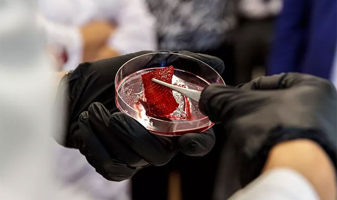 Ростовские биоинженеры предложили 3D-печать мясных продуктов