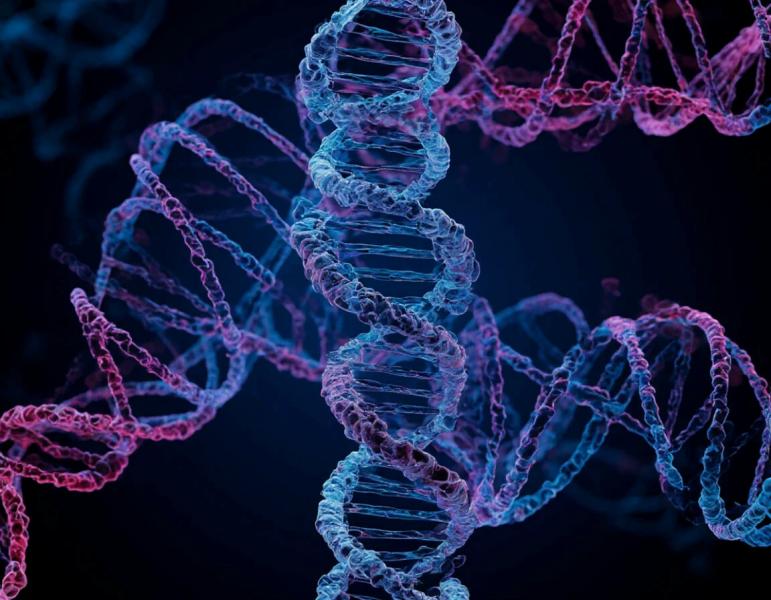 Science: ученые обнаружили миллионы новых генетических вариантов у бразильцев