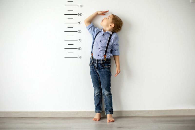 Ученые научились предсказывать рост человека во взрослой жизни с раннего детства