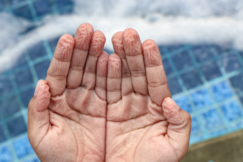 Ученые раскрыли неожиданный секрет морщин на мокрых пальцах