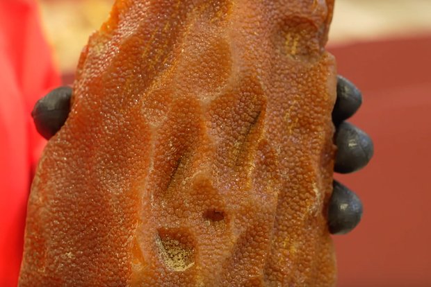 Уникальный янтарь возрастом 40 миллионов лет нашли в России