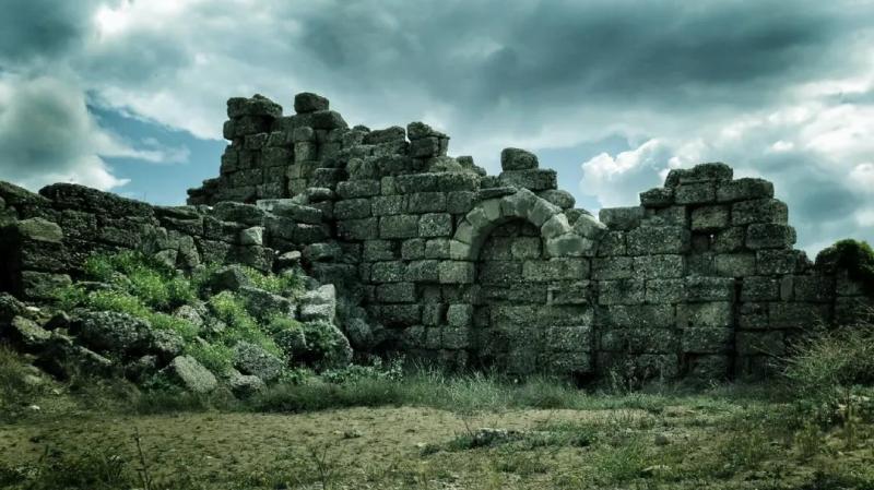 Древнее кладбище деревьев-мутантов обнаружили ученые ТГУ в Кузбассе