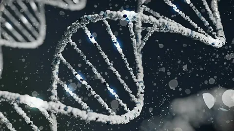 Эксперт Полуновский: анализ ДНК 1&nbsp;млрд человек позволит выявлять риски до&nbsp;рождения