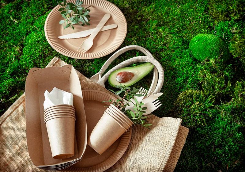 Одноразовая посуда оптом: удобство, экономия и экологические аспекты