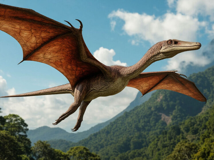 Останки нового вида птерозавров обнаружены японскими учеными