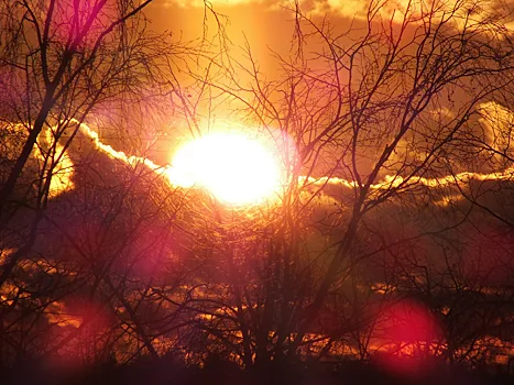 Пик солнечной активности пройден: что это значит для Земли?