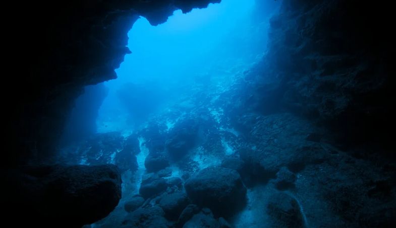 Новый китайский зонд показал мир планктона в беспрецедентных деталях