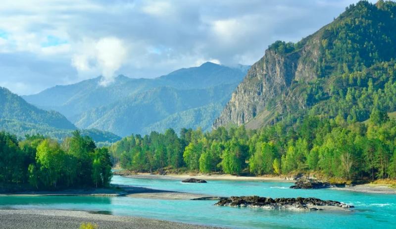 Предками жителей Венгрии, Финляндии и Эстонии оказались выходцы из Сибири