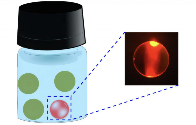 Съедобные микролазеры внутри еды способны навсегда изменить пищевую промышленность
