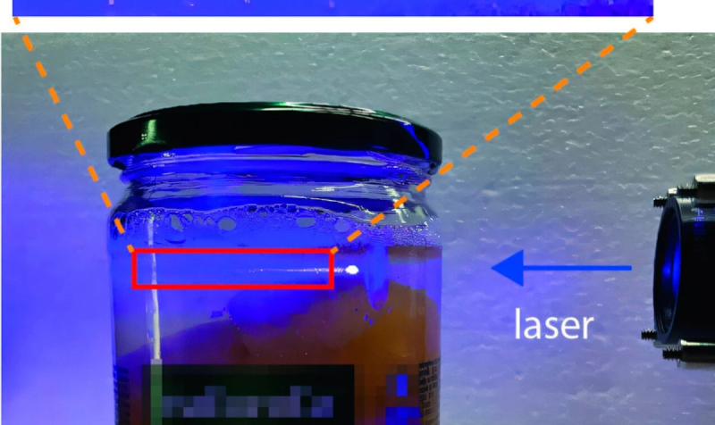 Съедобные микролазеры внутри еды способны навсегда изменить пищевую промышленность