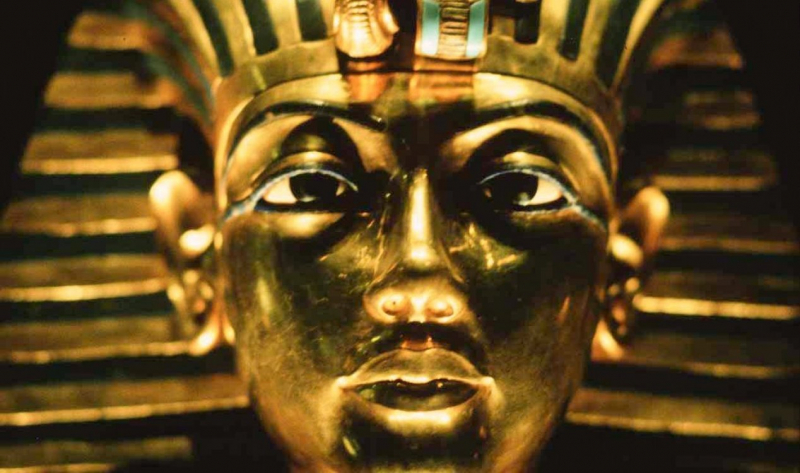 Токсичный грибок в гробнице Тутанхамона может привести к новым методам лечения рака